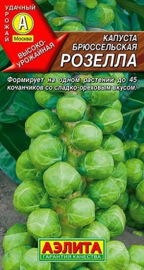 Капуста брюссельская «Розелла»