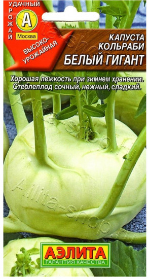 Капуста кольраби «Белый Гигант»