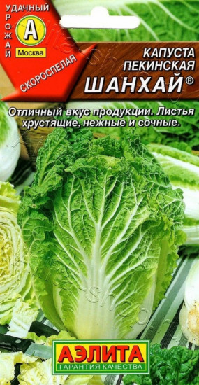 Капуста Пекинская «Шанхай»