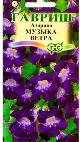 Семена азарины «Музыка ветра»