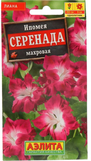 Ипомея «Серенада Махровая»