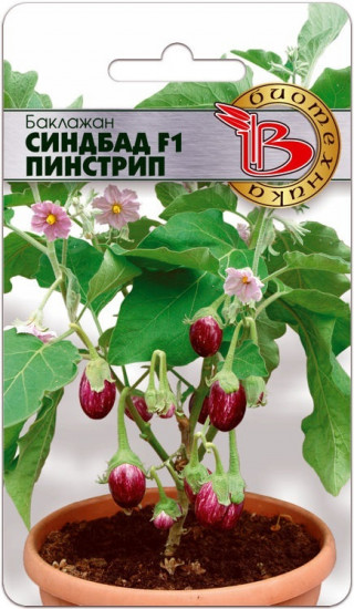 Семена баклажана «Синдбад F1 Пинстрип»