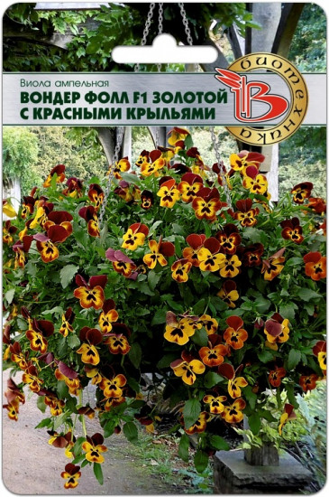 Семена виолы ампельной «Вондер Фолл F1. Золотой с красными крыльями»