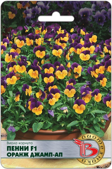 Семена виолы корнута «Пенни F1 Оранж Джамп-Ап»