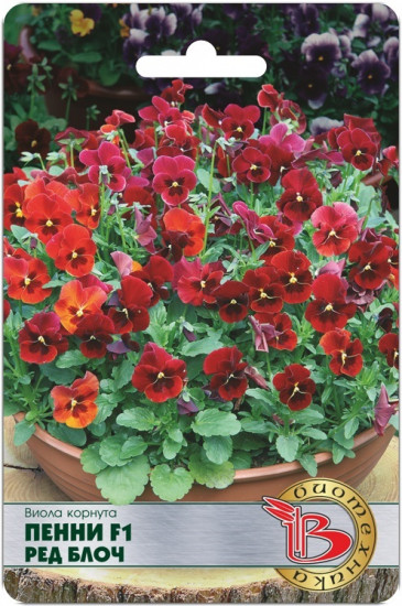 Семена виолы корнута «Пенни F1 Ред Блоч»
