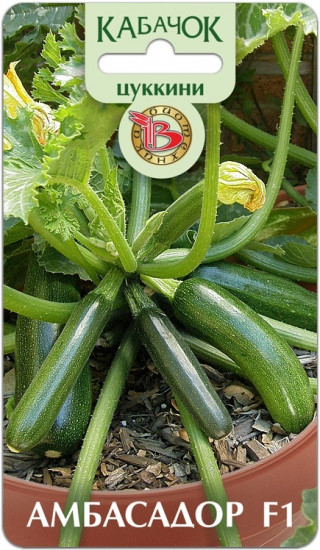 Семена кабачков цуккини «Амбасадор F1»