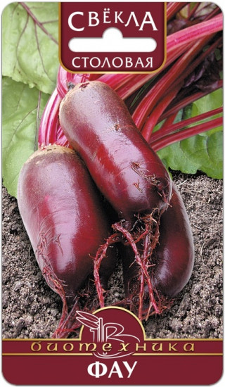 Семена свеклы столовой «Фау»