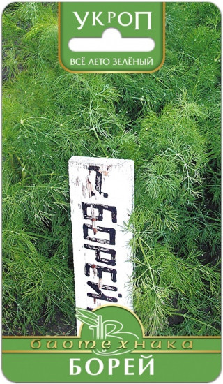 Семена укропа «Борей»