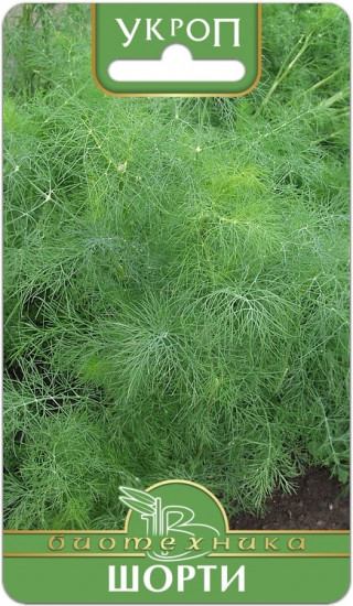 Семена укропа «Шорти»