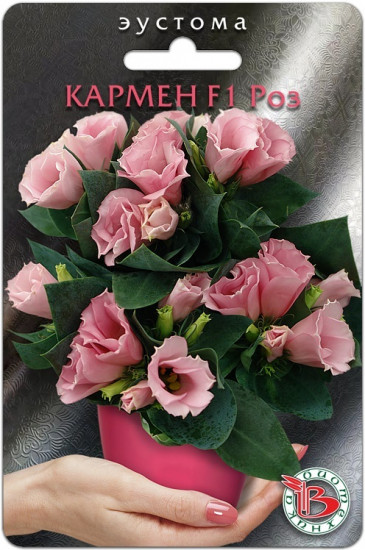 Эустома горшечная «Кармен F1 Роз»