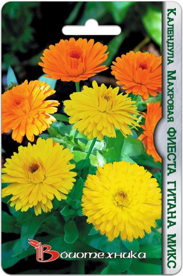 Семена календулы «Фиеста Гитана микс»