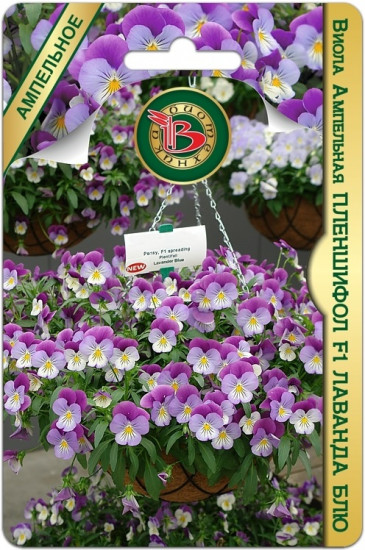 Семена виолы ампельной «Пленшифол F1 Лаванда Блю»