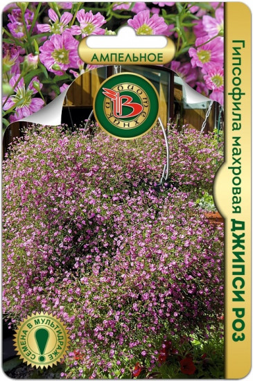 Семена гипсофилы махровой «Джипси Роз»