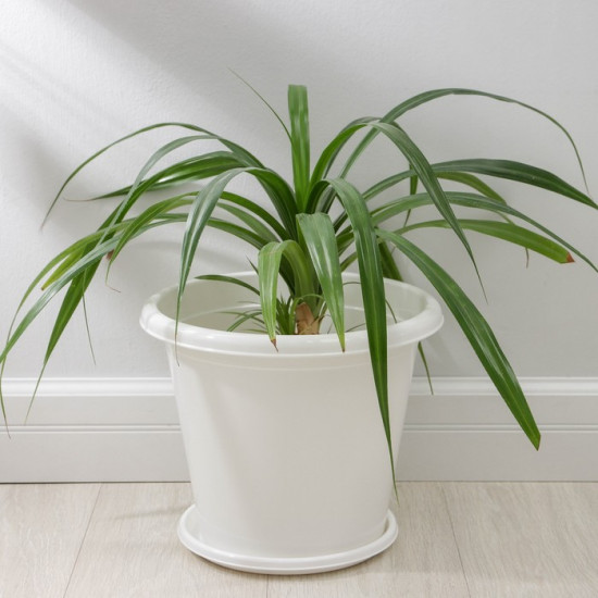 Горшок для цветов с поддоном «Эконом»