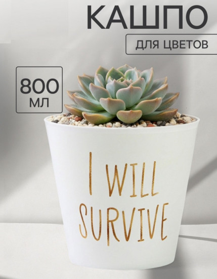 Кашпо для цветов «Я выживу»
