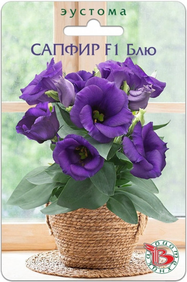 Эустома горшечная «Сапфир F1 Блю»