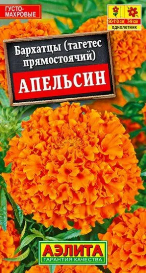 Семена бархатцов прямостоячих «Апельсин»