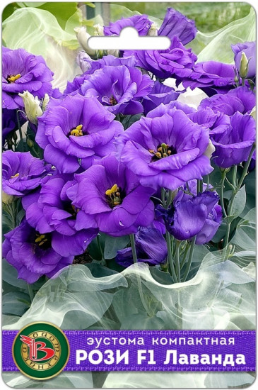 Эустома компактная махровая «Рози F1 Лаванда»