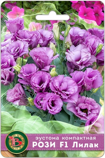 Эустома компактная махровая «Рози F1 Лилак»