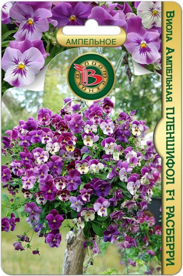 Семена виолы ампельной «Пленшифол F1 Расберри»