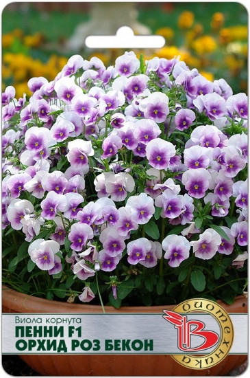 Семена виолы корнута «Пенни F1 Орхид Роз бекон»