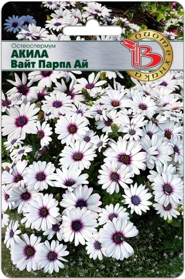 Семена цветов «Остеоспермум Акила Вайт Парпл Ай»