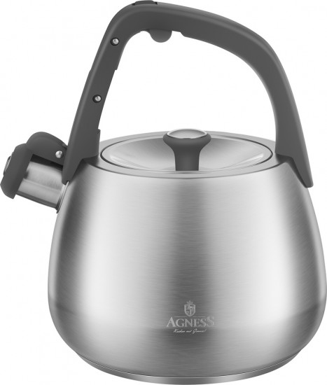 Чайник со свистком