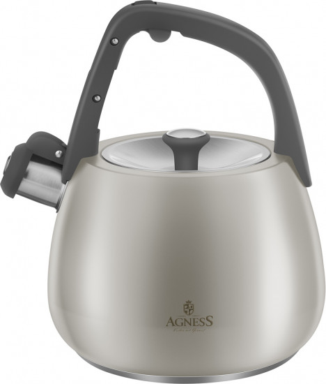 Чайник со свистком