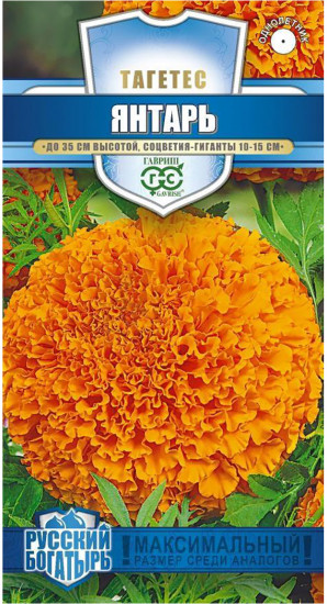 Бархатцы «Янтарь»