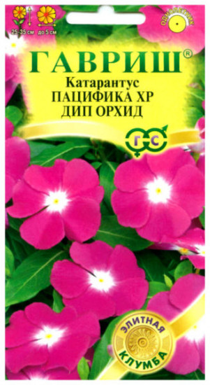Семена катарантуса «Розовый Пацифика ХР Дип Орхид»
