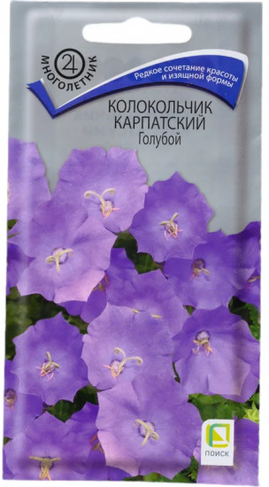 Колокольчик карпатский