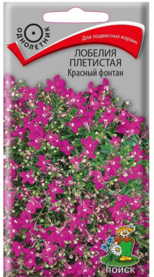 Лобелия плетистая «Красный фонтан»