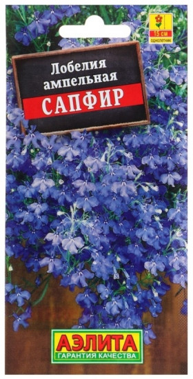 Лобелия «Сапфир ампельная»