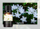 жасмин