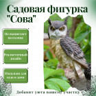 черно-коричневый