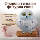 бело-голубой