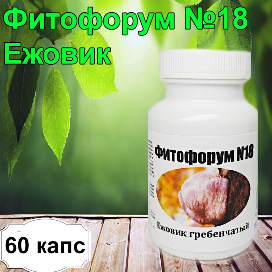 Фитофорум №18 «Ежовик гребенчатый»