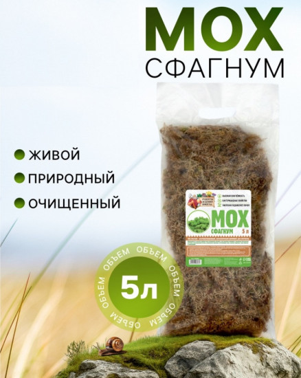 Мох сфагнум