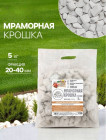 5 кг