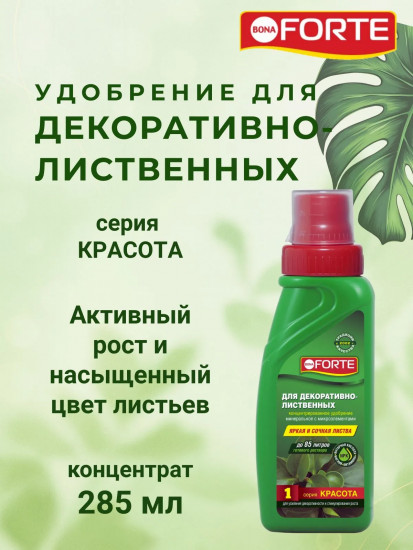 Удобрение для декоративно-лиственных растений
