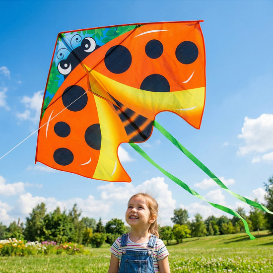 Змей воздушный «Покоритель высот»