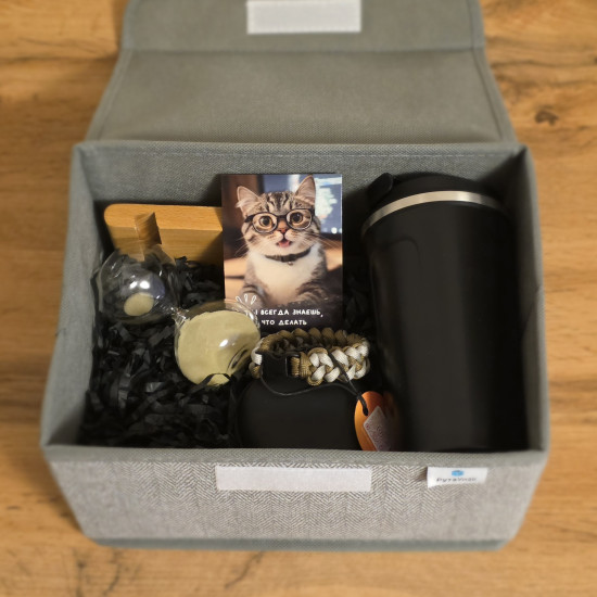 Подарочный набор «BusinessBoxx»