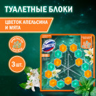 цитрусовый