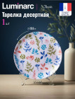 20.5 см