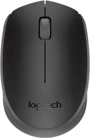 Мышь беспроводная M171