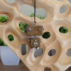 бежево-коричневый