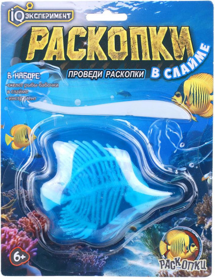 Набор «Скелет рыбы-бабочки»