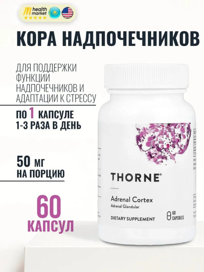 Кора надпочечников Adrenal Cortex