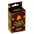 Игра «Высшая школа магии»