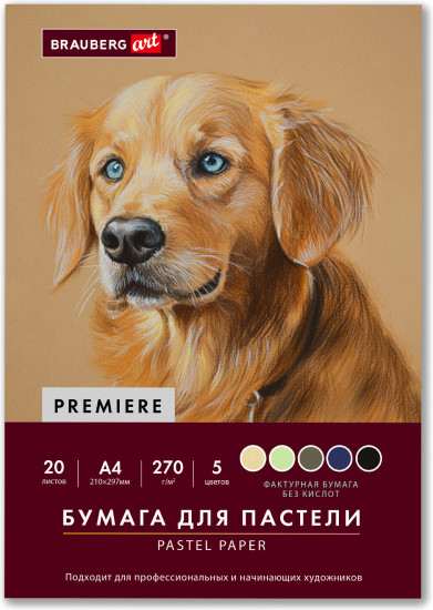 Бумага для пастели Фактурная, А4, в папке, 20 листов, 5 цветов, 270 г/м2, BRAUBERG ART, 117755